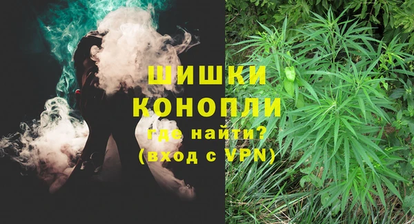 PSILOCYBIN Волосово