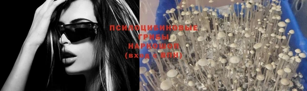 хмурый Нефтекумск