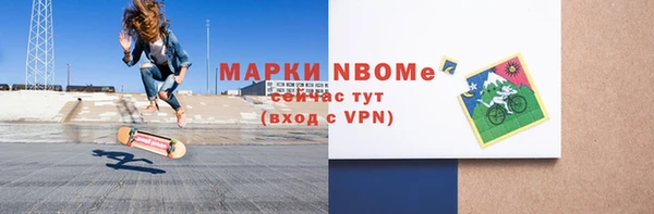 ГАЛЛЮЦИНОГЕННЫЕ ГРИБЫ Козловка