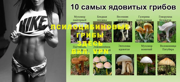 хмурый Нефтекумск