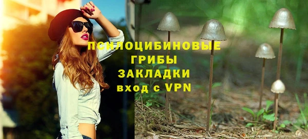 хмурый Нефтекумск