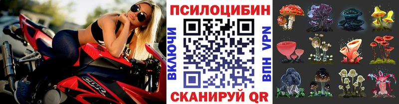 кракен сайт  Полтавская  Псилоцибиновые грибы Psilocybine cubensis 